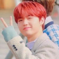 phen 🍓 is missing treasure(@majcollects) 's Twitter Profile Photo