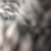 B (@bradsmi76580344) Twitter profile photo B (@bradsmi76580344) Twitter profile photo