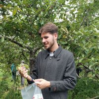 Gershon גרשון (@gt_thetree) 's Twitter Profile