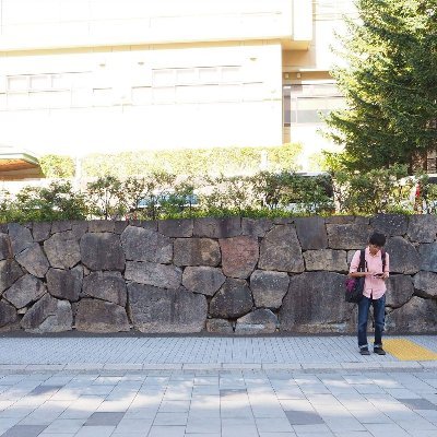 shintarouchika1's profile picture. 