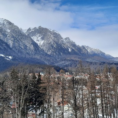 blackCat131097's profile picture. 