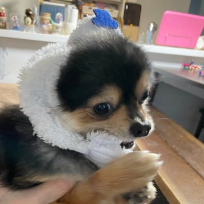 mitxf_'s profile picture. 見る専