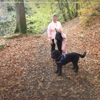 Diane Sammons (@dianesammons3) 's Twitter Profile Photo