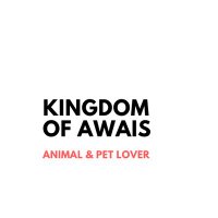 Kingdom of Awais(@kingdomofawais) 's Twitter Profile Photo