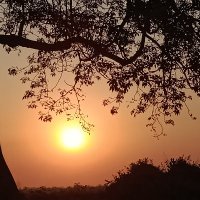 Diwash Acharya (@diwashacharya10) 's Twitter Profile