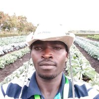 MUTAI EVANS🌾🥕🍅 (@evansmutai_n) 's Twitter Profile