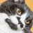 やぎ1204=^. .^=💌📣のアイコン