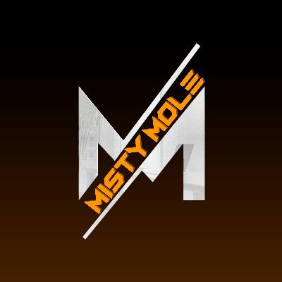 |Graphics Designer|
|2D/3D Modelling & Rigging|
|Video Editing Animations|

•Instagram:mrmistymole
•Discord:Mistymole#5935