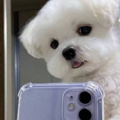 zacharyfreema19's profile picture. I’m working on my Twitter bio. Check again after seven years.