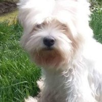 Silvia Prato(@SilviaPrato1) 's Twitter Profile Photo Silvia Prato(@SilviaPrato1) 's Twitter Profile Photo