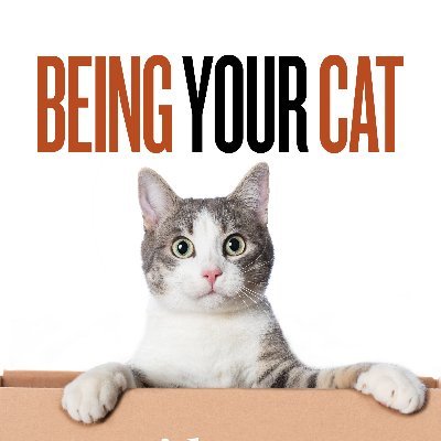 Celia Haddon. Cat mad but qualified. Read - Being Your Cat - https://t.co/KqrTPVRtNq