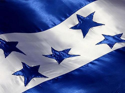 NOalGOLPE's profile picture. 