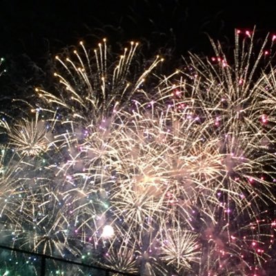 Planetaryruri's profile picture. 20↑/FGO 妖精國とイドに囚われている/無言フォロー失礼します/バーヴァンシーかわいい