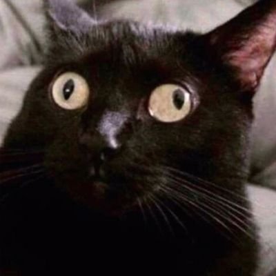 kaguyah6me's profile picture. got nothing else to do