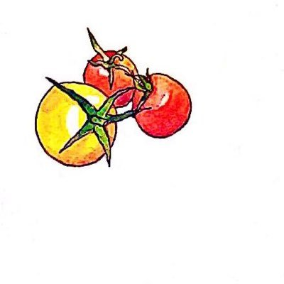 k__monster's profile picture. 👩🏻🧑🏼‍🦲🐧／🥷🥚🔰／🥀／🀄️