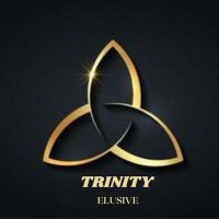 trinity_elusive(@Elusive_Trinity) 's Twitter Profile Photo