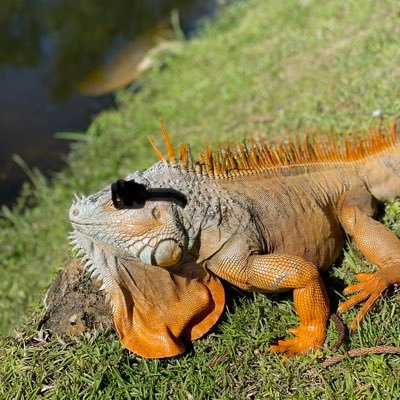 kaz003388's profile picture. 