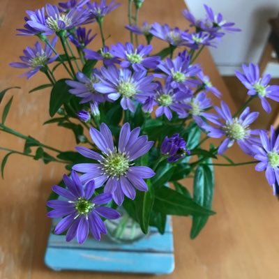 Br9Pj's profile picture. 前のアカウントにログインできなくなってしまったので初めから作りました。（名前は前のアカウントと同じです。）