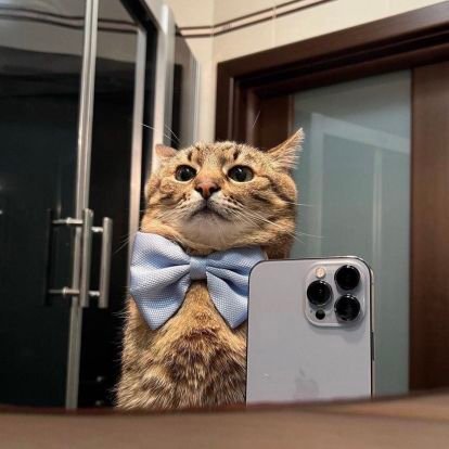 starbumny's profile picture. blah blah blahhh (no limits ;3)