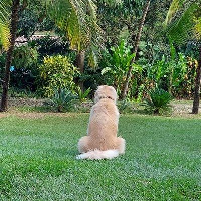 leon_macia's profile picture. NUNCA izquierda, si centro, SI DERECHA...Si IDEAS!! Si PROGRAMAS!!