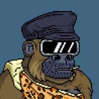 Dragonheart💎 (@sjoke69) 's Twitter Profile
