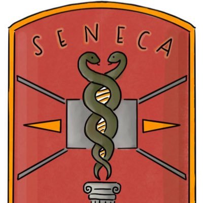 The official Twitter account for the SENECA Study: Staging Endometrial caNcer based on molEcular ClAssification. PI: @quique_chc Email: senecaproject1@gmail.com