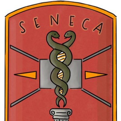 The official Twitter account for the SENECA Study: Staging Endometrial caNcer based on molEcular ClAssification. PI: @quique_chc Email: senecaproject1@gmail.com