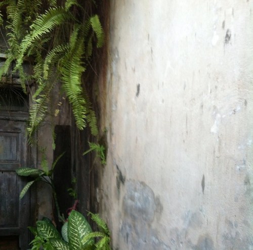 amornchaiw's profile picture. 