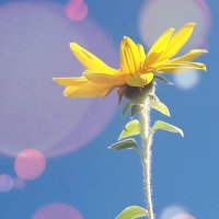 Angela Migliore (@angelamigliore) 's Twitter Profile Photo