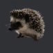 her1b1o's profile picture. 