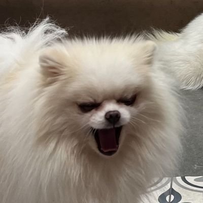 judyy1592's profile picture. 성인20