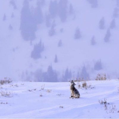 jras4's profile picture. God, Family, Friends.