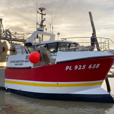 LemerdyGlen's profile picture. 