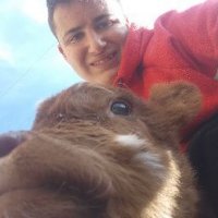 juanpi cortez (@cortez_juanpi) 's Twitter Profile