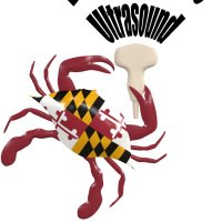 University of Maryland AEMUS(@UMEM_US) 's Twitter Profile Photo