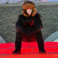 Jeremy Rodrigues (@jeremyrodrigaz) 's Twitter Profile