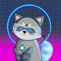 RaccoonSquad.algo(@RaccoonSquadNFT) 's Twitter Profile Photo