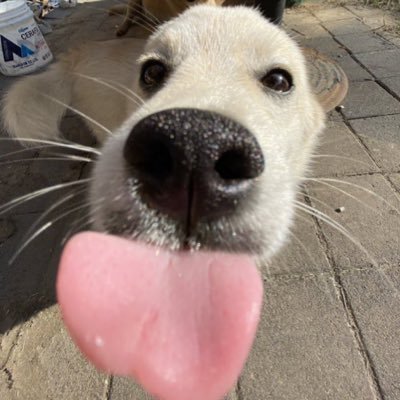 ckddydskfls's profile picture. 