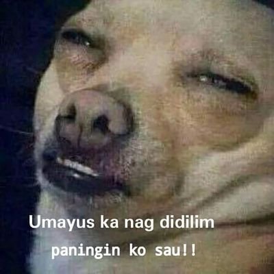 Roggermanuel8's profile picture. moreno