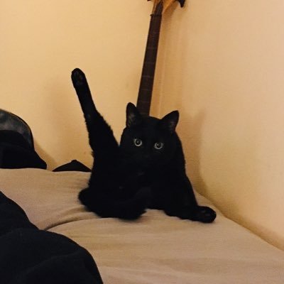 MuwGenics's profile picture. 