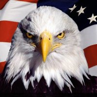 chuck robert (@chuckbob21) 's Twitter Profile
