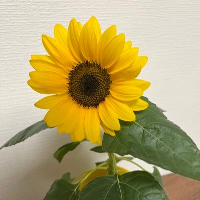 塚畑さんのプロフィール画像