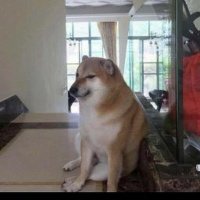 劉瀚文 (@aswen5202) Twitter profile photo