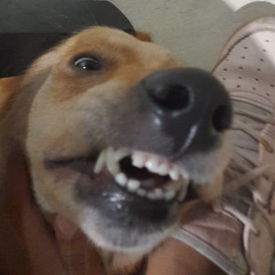 mannoceleste_'s profile picture. Ig: mannoceleste_