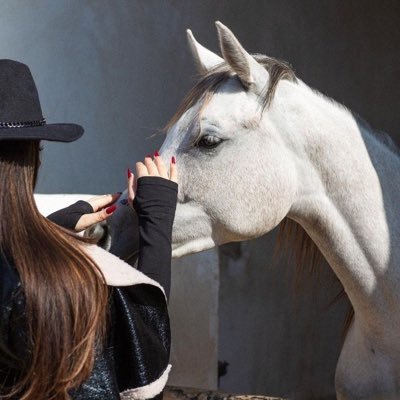 maha__alk's profile picture. rain, winter, clouds, coffee, chocolate, tulips, old buildings, horses, cello, real madrid, fireworks.. medical doctor 🥼🤍.