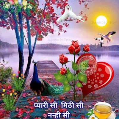 meena_rkd's profile picture. Life is so big but money is so important