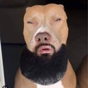 Deante Smith - @nbaborkeboysky - Twitter