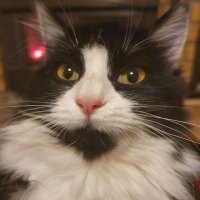 MED DOBSKYI🇨🇵🇷🇺😙😙😙 (@dobskyimed) 's Twitter Profile