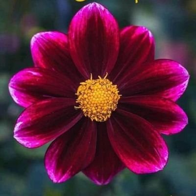 MrwtyPwr's profile picture. 