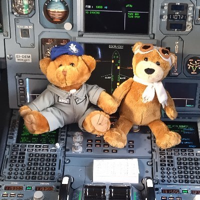 Capt Paddy T Bear & Lucky will be flying around Ireland, UK & Europe in as many different aircraft types raising funds for LauraLynn and Dogs Trust Ireland.